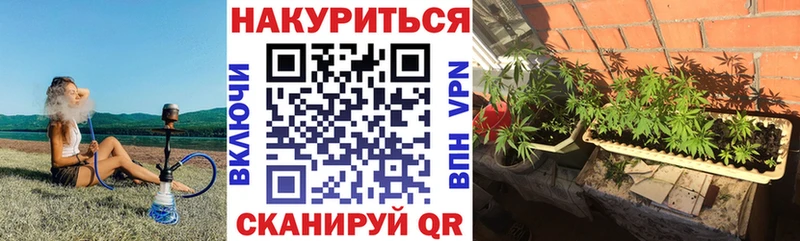 Где купить наркоту Остров АМФ Меф ГАШ KRAKEN ССЫЛКА A-PVP