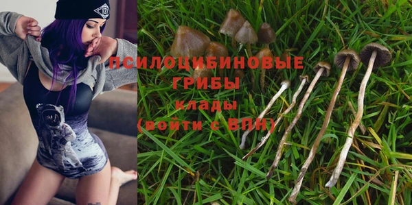 эйфоретик Навашино