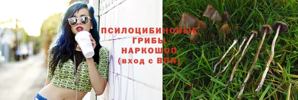эйфоретик Навашино