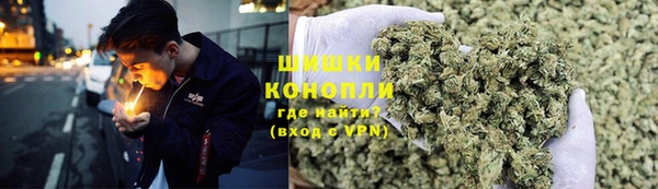 прущие крисы Надым